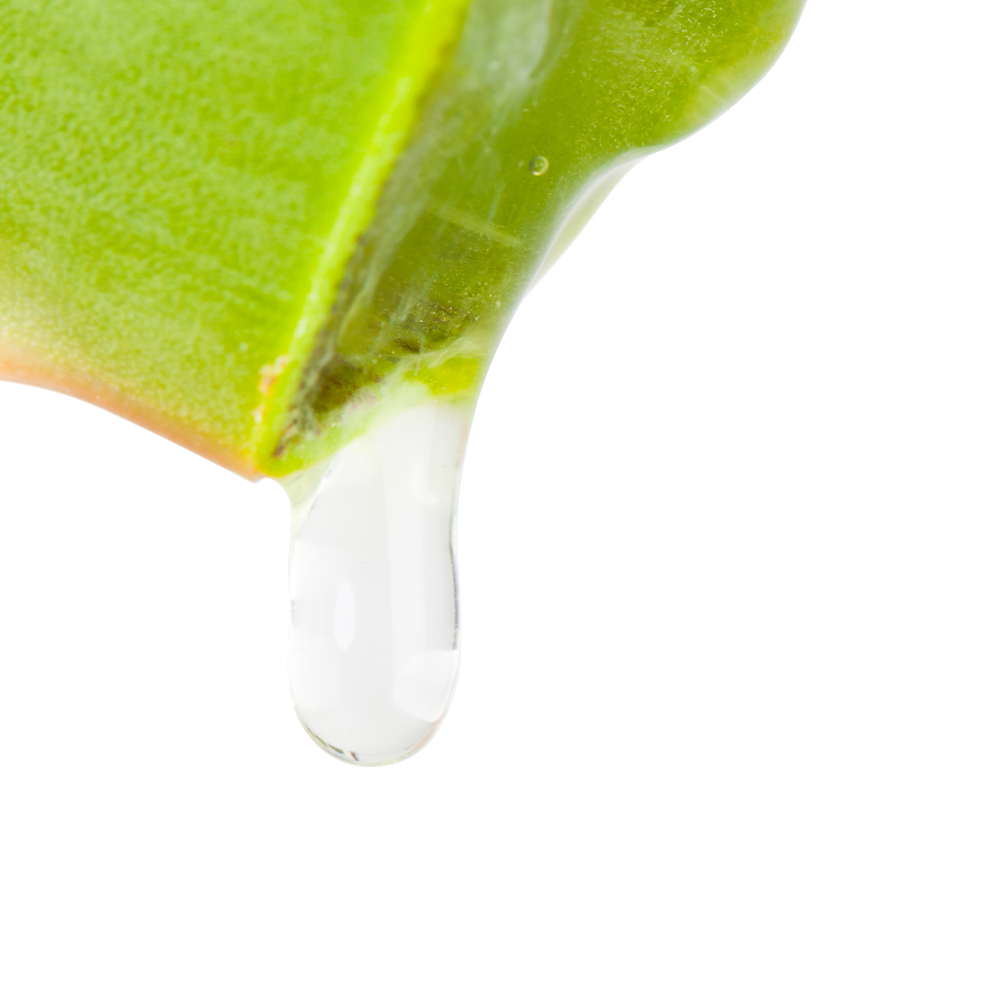 Fango d'Alga Corpo Snellente 1 